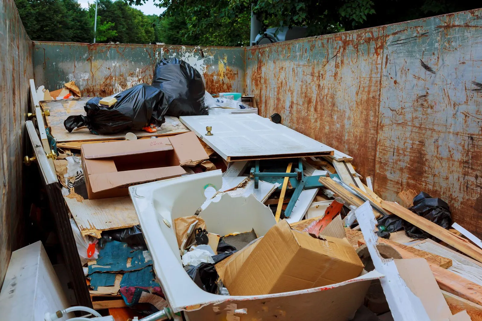Professional Junk Removal Services In Marion, South Carolina